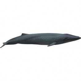 Miniatura Baleia Azul – Animais da Água