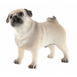 Miniatura Pug Percy – Animais Domésticos