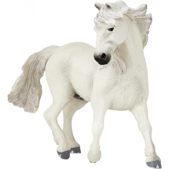 Miniatura Cavalo Árabe – Animais da Quinta