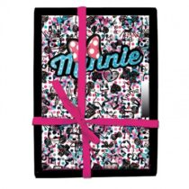 diario-disney-minnie-draw