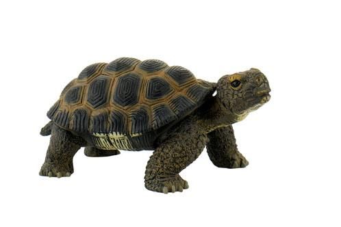 Miniatura Tartaruga – Animais da Selva
